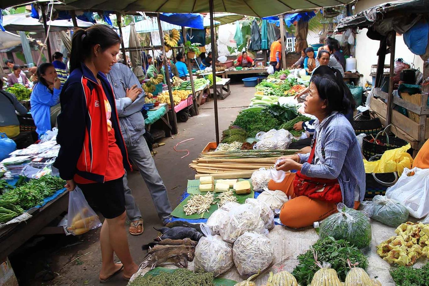 Vật giá “leo thang”, gia đình kiểm soát thế nào?
